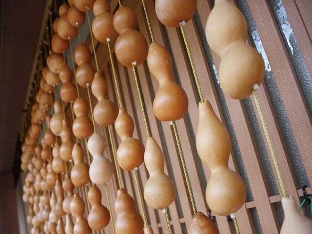 写真：ひょうたん