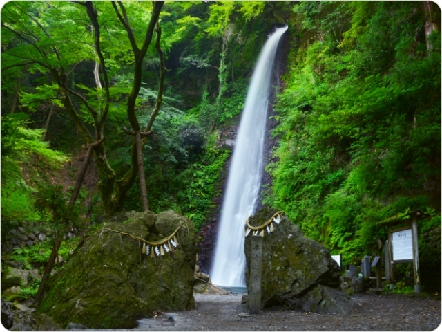 写真：新緑の養老の滝
