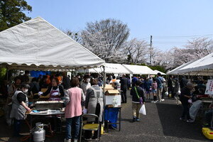 写真：この日の会場は桜が満開でした