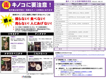 写真：毒キノコに要注意！ チラシ