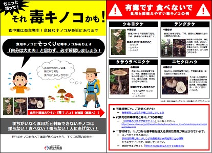 写真：ちょっと待ってそれ毒キノコかも！ チラシ
