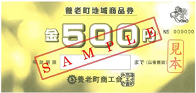 写真：商品券　見本