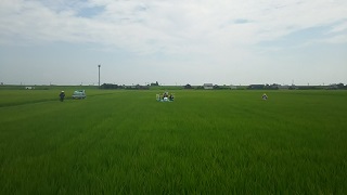 写真：田園風景1