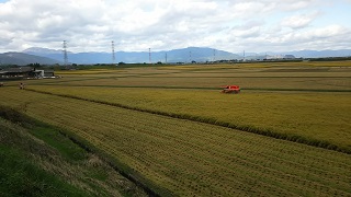 写真：田園風景2