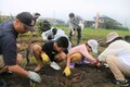 写真：芋ほり大作戦の様子