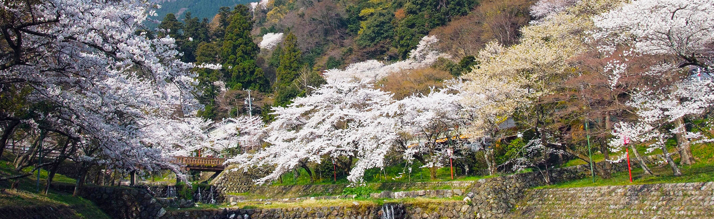 養老町